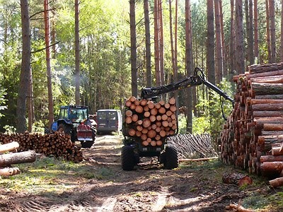 Ilustracja do pytania 30