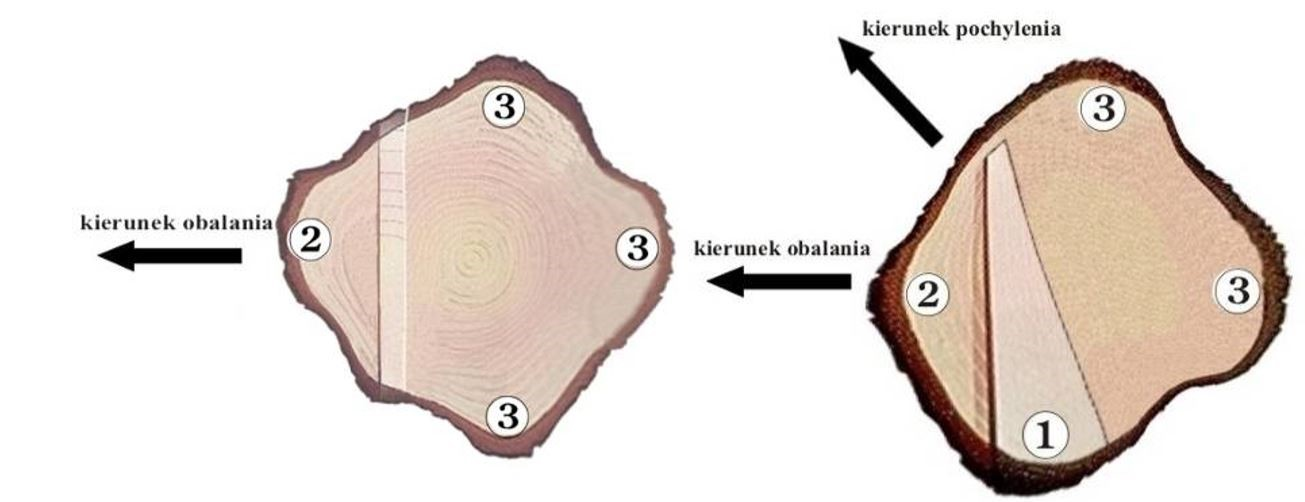 Ilustracja do pytania 14