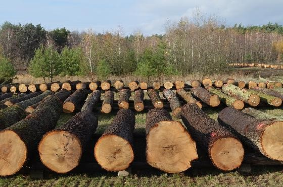 Ilustracja do pytania 5