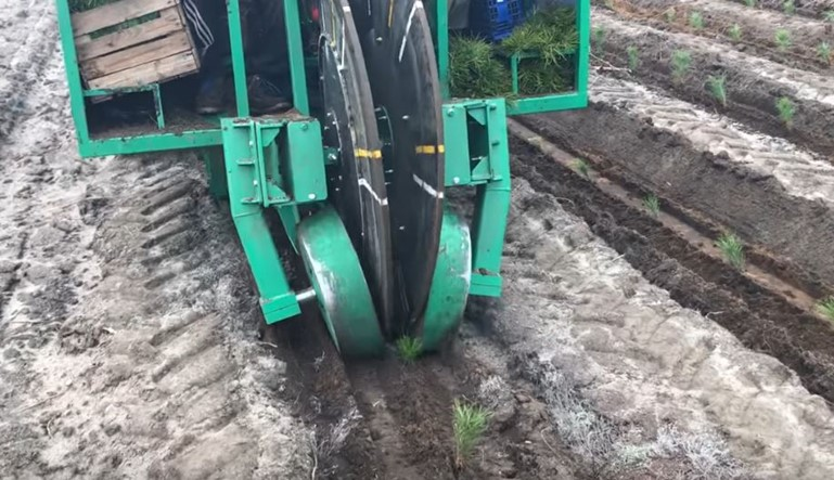 Ilustracja do pytania 26