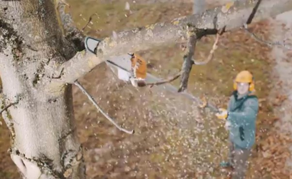 Ilustracja do pytania 31