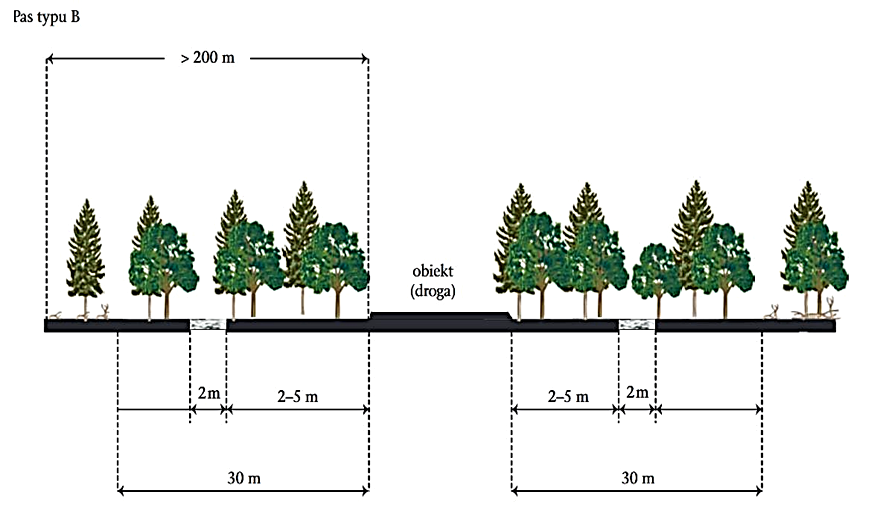 Ilustracja do pytania 32