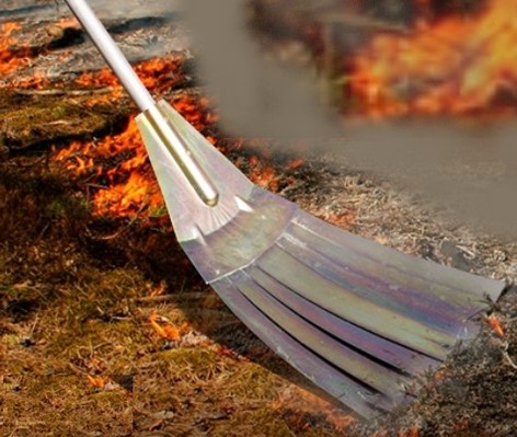 Ilustracja do pytania 30