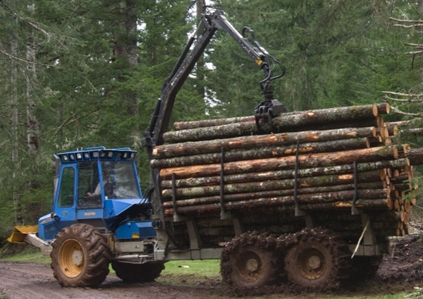 Ilustracja do pytania 32