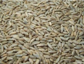 Ilustracja do pytania 27