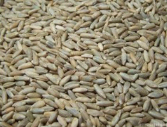 Ilustracja do pytania 32