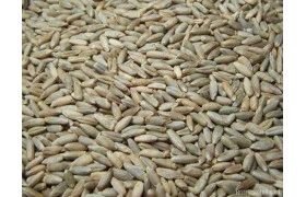 Ilustracja do pytania 23