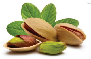 Ilustracja do pytania 6