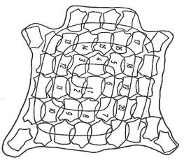 Ilustracja do pytania 17