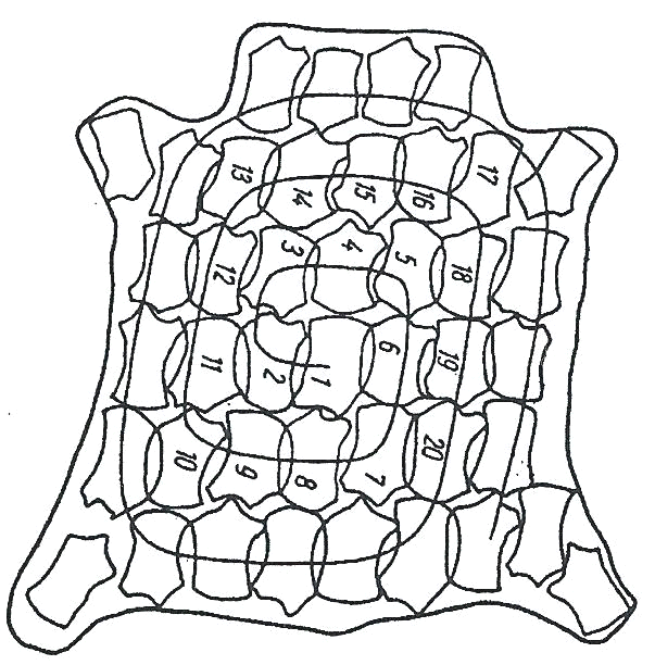 Ilustracja do pytania 9