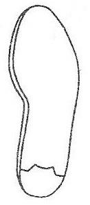 Ilustracja do odpowiedzi B