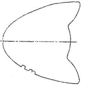 Ilustracja do pytania 20