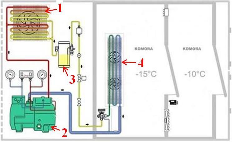 Ilustracja do pytania 29