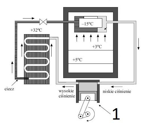 Ilustracja do pytania 11