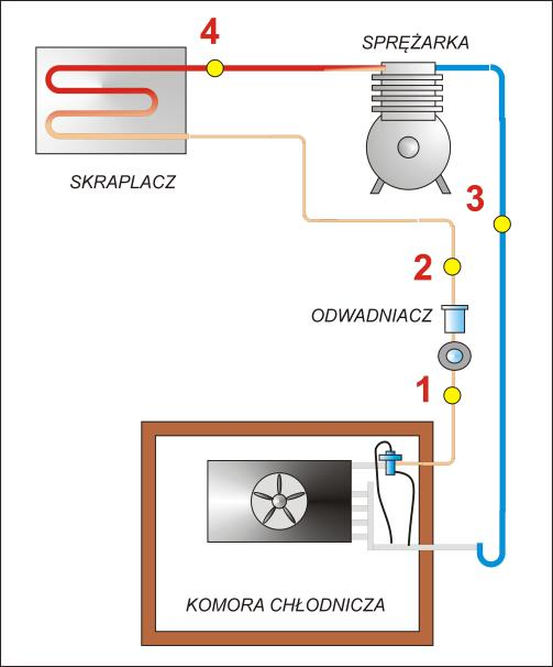 Ilustracja do pytania 15
