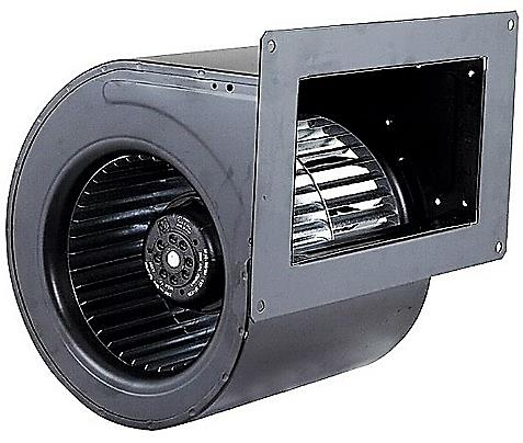 Ilustracja do pytania 40