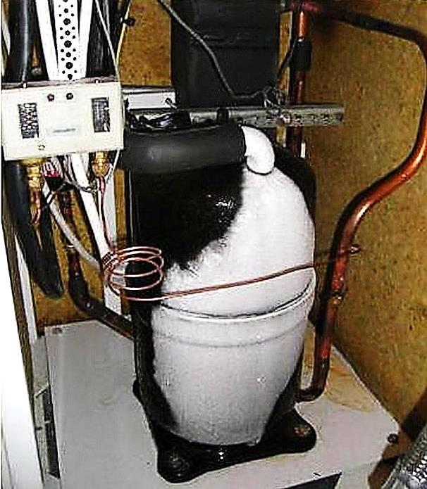 Ilustracja do pytania 34