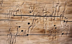 Ilustracja do pytania 39