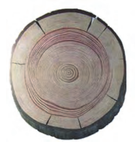 Ilustracja do pytania 16