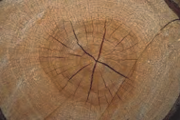 Ilustracja do pytania 21