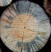 Ilustracja do pytania 40