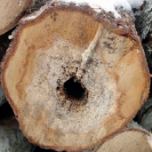 Ilustracja do pytania 34