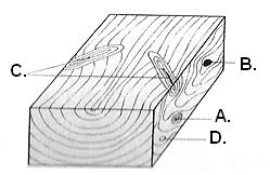 Ilustracja do pytania 34