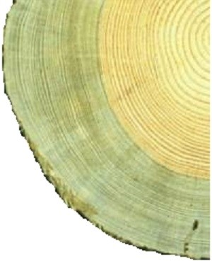 Ilustracja do pytania 18