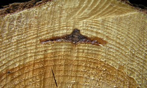 Ilustracja do pytania 18