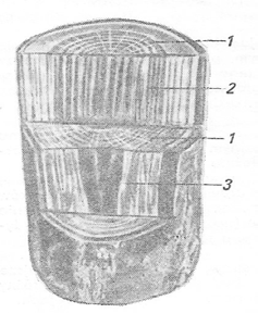 Ilustracja do pytania 21