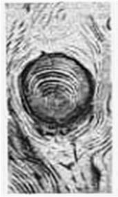 Ilustracja do odpowiedzi A