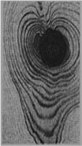 Ilustracja do odpowiedzi B