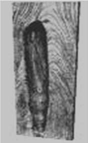 Ilustracja do odpowiedzi D