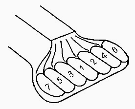 Ilustracja do odpowiedzi A