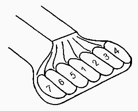 Ilustracja do odpowiedzi B