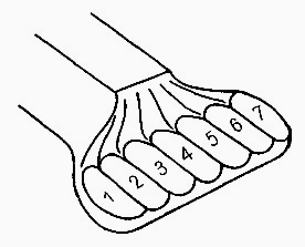 Ilustracja do odpowiedzi D