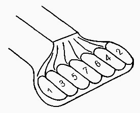 Ilustracja do odpowiedzi C