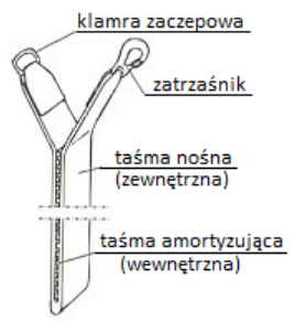 Ilustracja do pytania