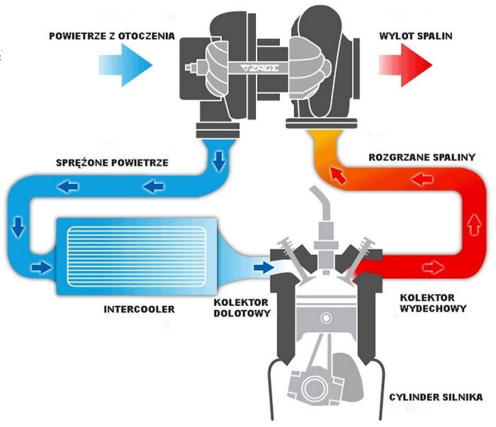 Ilustracja do pytania 34