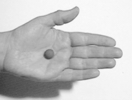 Ilustracja do pytania 4