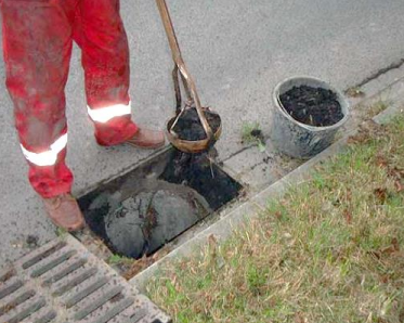 Ilustracja do pytania 11