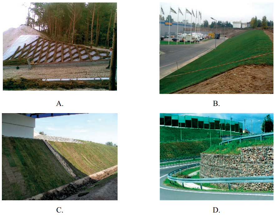 Ilustracja do pytania 11