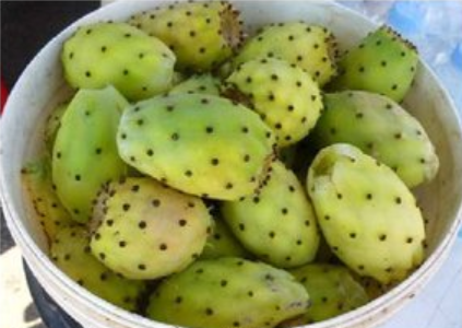 Ilustracja do pytania 33