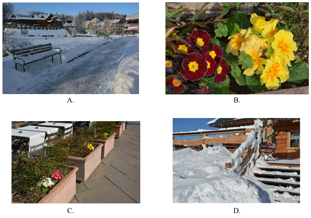 Ilustracja do pytania 7