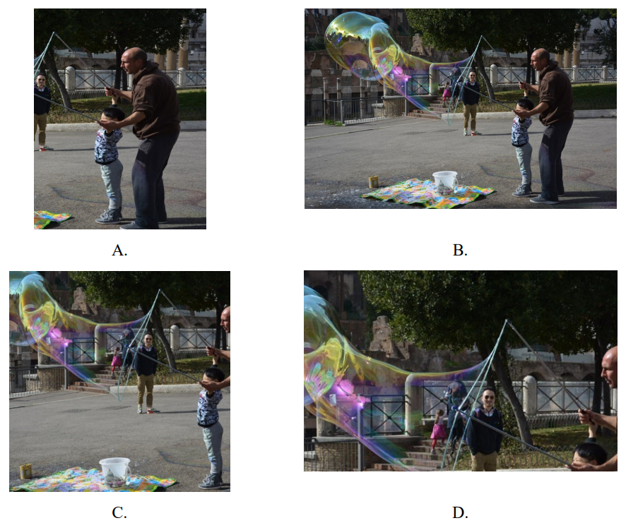 Ilustracja do pytania 20