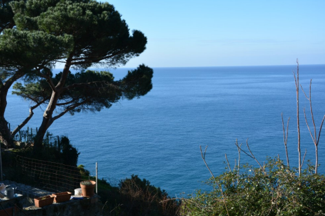 Ilustracja do pytania