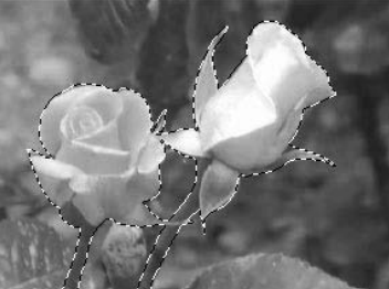 Ilustracja do pytania 8