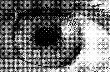 Ilustracja do pytania