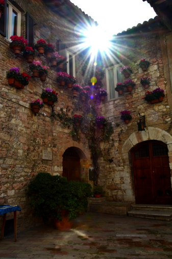 Ilustracja do pytania 22