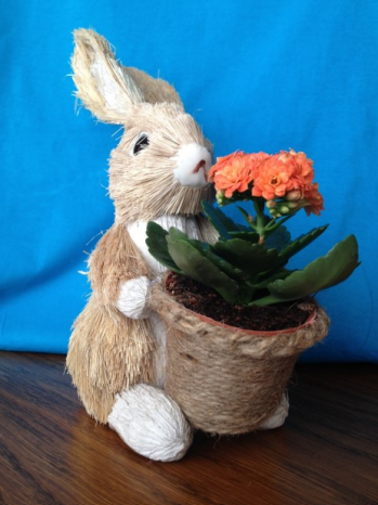 Ilustracja do pytania 6